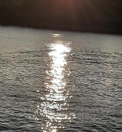 Casa Di Mare Jelsa, Otok Hvar Willa